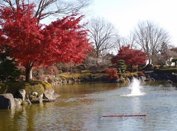 日本庭園 (800x596).jpg